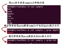 Linux中的管道，grep和sort命令